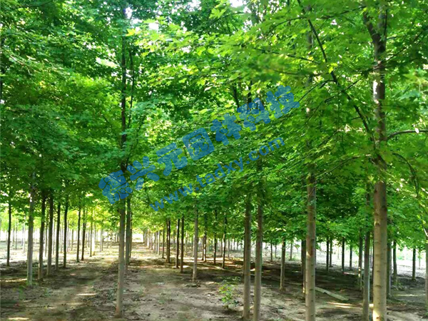 �c���鿴Ԕ��(x��)��Ϣ��(bi��o)�}�������t�� ��x�Δ�(sh��)��2074